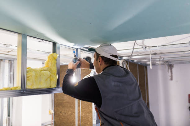Best Spray Foam Insulation  in Rankin, PA