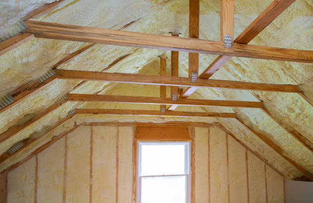 Best Insulation Contractor Near Me  in Rankin, PA