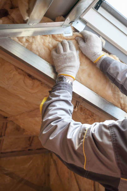 Attic Insulation Near Me in Rankin, PA