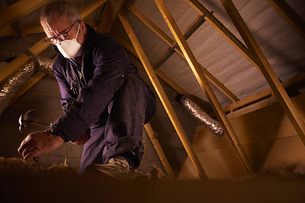 Best Insulation Repair Services  in Rankin, PA
