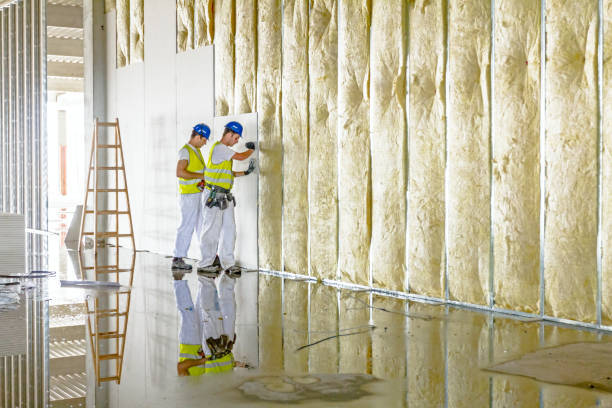 Insulation Repair Services in Rankin, PA